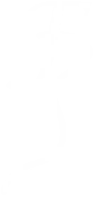 Logo Felipe Bicudo Transparente Borda Branca